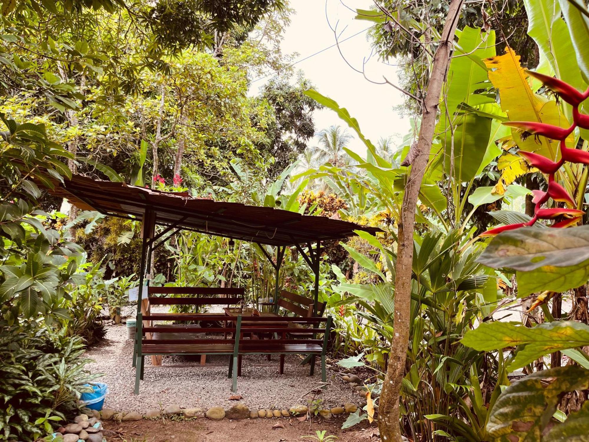 La Ruka Hostel Puerto Viejo de Talamanca Luaran gambar
