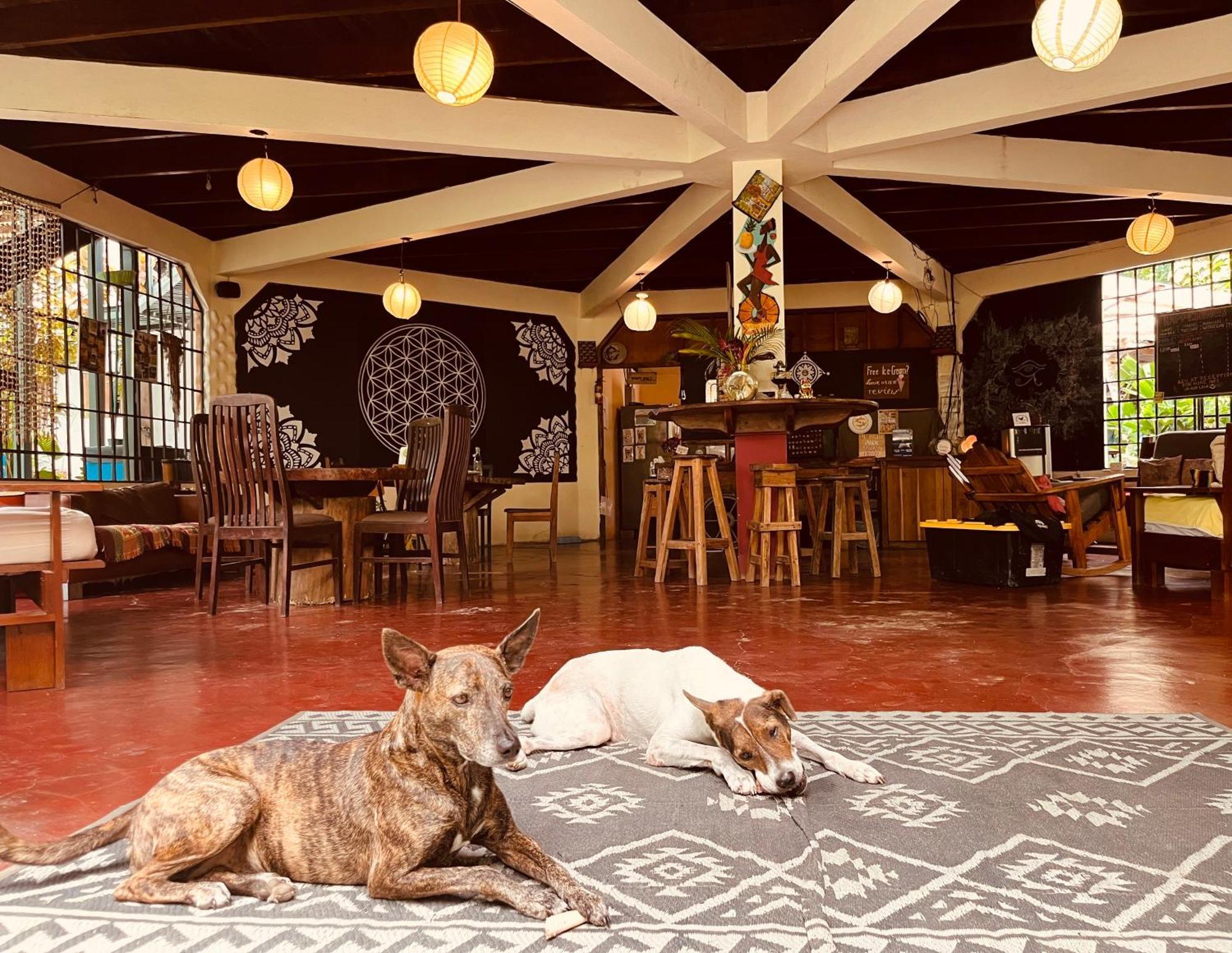 La Ruka Hostel Puerto Viejo de Talamanca Luaran gambar