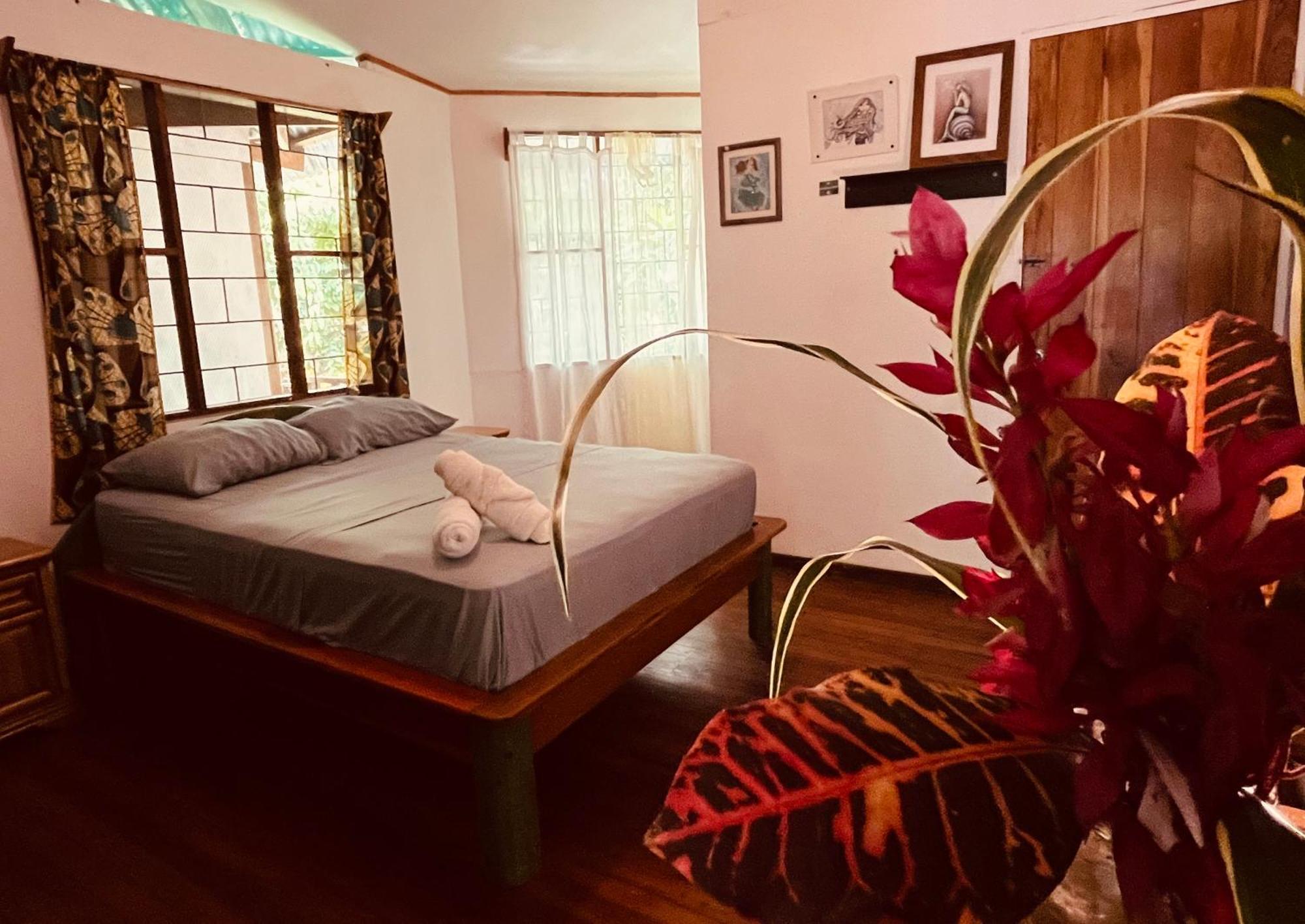 La Ruka Hostel Puerto Viejo de Talamanca Luaran gambar